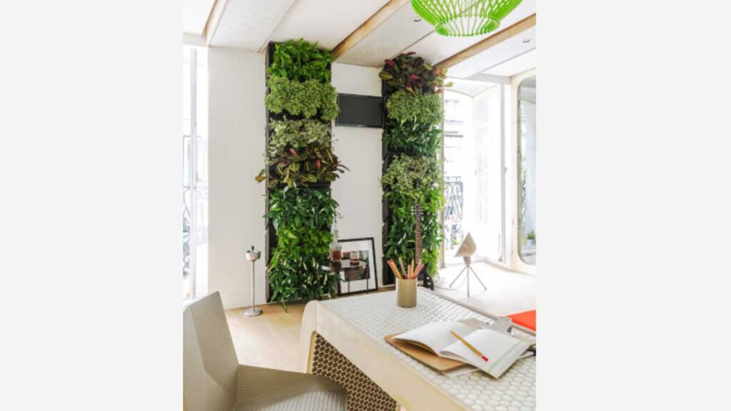 indoor living wall to your home